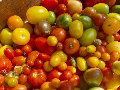 Fruits of the Earth - A 22-event series dedicated to heirloom tomatoes and Virginia wine kicks off this summer